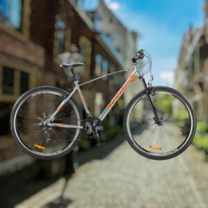 Bicicleta MTB Futura Rod 29 Lynce er